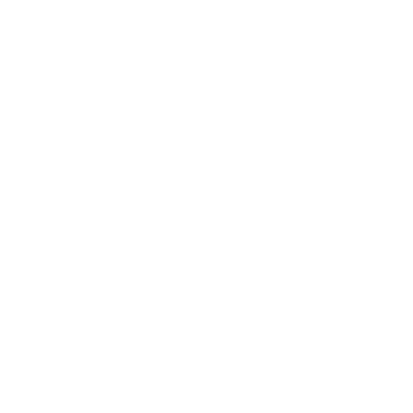 dashcam.bike logo